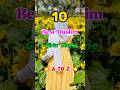 10 Best Muslim Girl Name S Letter A To Z Islam Girl Shorts