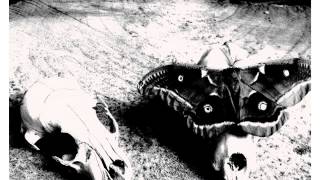 Moving On - Mimicking Birds