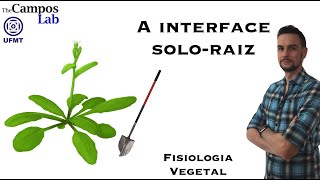 A interface solo-raiz (1/3): Propriedades do solo