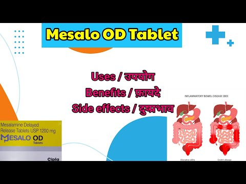 Exporter of Mesalamine 1200mg Tablets
