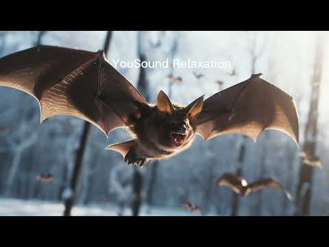 8 hours Repellent Anti Bats Sound | Ultrasonic Sound | Get Rid Of Bats | High Frequency | No Bats