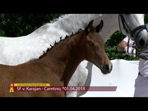 KN 20 SF v. Karajan / Caretino