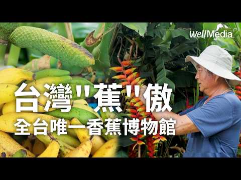 全台唯一!香蕉博物館 119種奇特品種大公開 南投集集山蕉轉型秘辛【Well Talk】