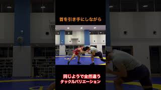 (見えないと言われた)全日本レスリング選手のタックルバリエーション※これで1割くらい