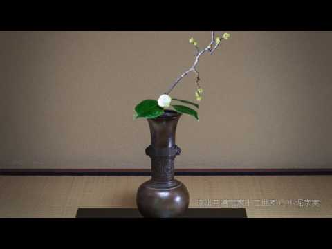 ENSHU SADO SCHOOL/ KOBORI ENSHU KENSHOKAI