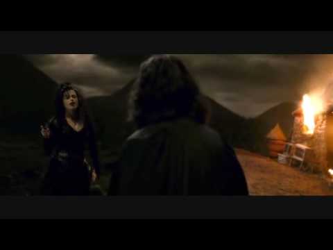 Harry Potter HBP - Fight Back You Coward! - HD
