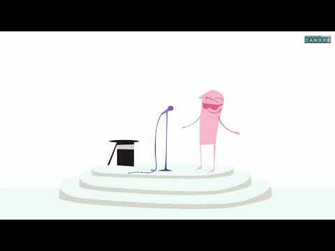 Le présent des verbes être et avoir Canopé