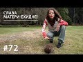 СЛАВА МАТЕРИ-ЕХИДНЕ! // Всё как у зверей #72 СЛАВА МАТЕРИ-ЕХИДНЕ! // Всё как у зверей #72