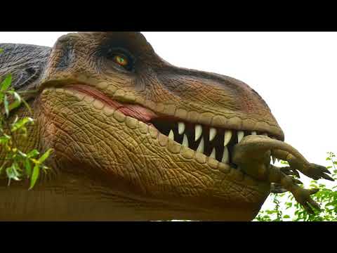 Titanoboa Unleashed: The Untold Chronicles