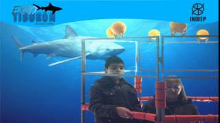 DIA 2 Expo Tiburon82