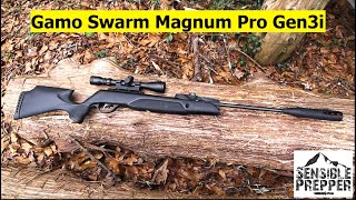 Gamo Swarm Magnum Pro Gen3i