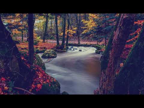 Japanese relaxing music   Zen Garden, Instrumental, Spa
