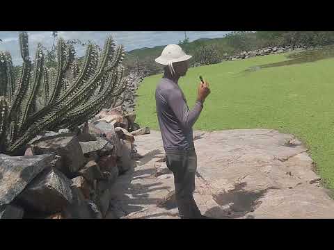 Riqueza do nosso sertão.Uaua Bahia 