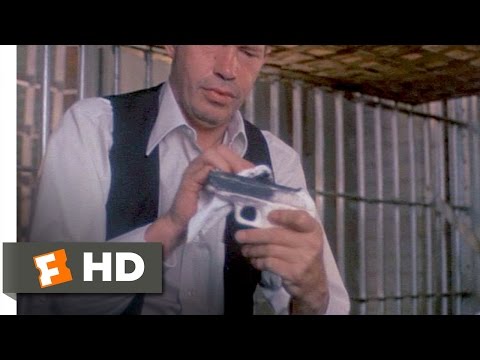 Dillinger (8/12) Movie CLIP - Break Out, Baby! (1973) HD