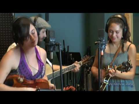 We Are Cold - Under the Willow | WMNF 88.5 FM It's The Music Performance