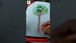 Palm Tree Drawing Idea Step-by-Step 🌴 | Easy and Fun Drawing Tutorial