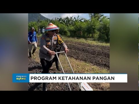 POLRES HALSEL LAKSANAKAN KETAHANAN PANGAN HORTIKULTURA