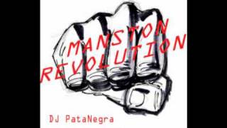 DJ PataNegra feat. Swede B.I.G - Manston Revolution 2012 FL Studios
