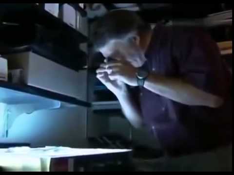 Der Letzte Beweis   Bigfoot Doku Deutsch