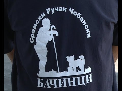 SYNC Ivica Racanović   najava Čobanijade