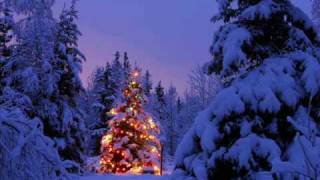 JESUS NACIÓ, LA NAVIDAD LLEGÓ, FELIZ  DICIEMBRE 2010