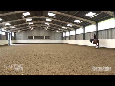 Emile Faurie – How to get a horse in front of the leg