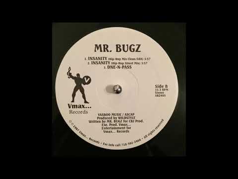 MR. Bugz - One-N-Pass