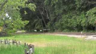 preview picture of video 'Roaring Camp Railroads, Felton, CA'