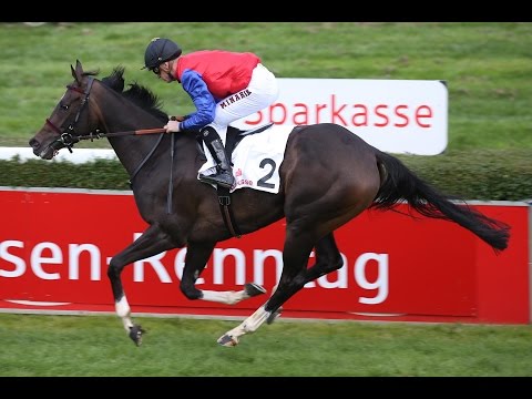 Düsseldorf: Dialog-Mittelstand-Rennen Stutenrennen (D) - Siegerin: Identity