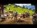 Daily Life In The Swiss Alpine Pastures Among Mountains And Remote Villages