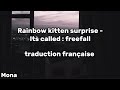 Rainbow kitten surprise - Its called : freefall (traduction française lyrics)