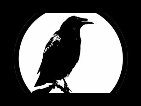 Seksi x Ourmoney-Lavirint (tekst u opisu)