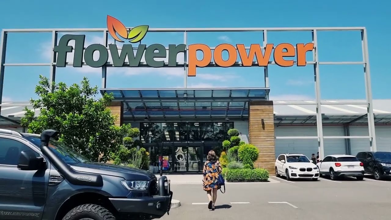 Plants Shopping at #flowerpower