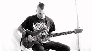 Steve Vai - Tender Surrender (Guitar Solos on Bass)