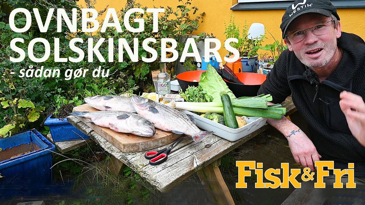 NY VIDEO: OVNBAGT SOLSKINSBARS – SÅDAN GØR DU