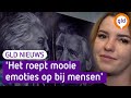 GLD Nieuws 30 maart 2023
