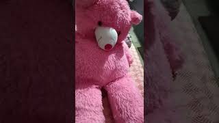 Download lagu May 14, 2025 mp3