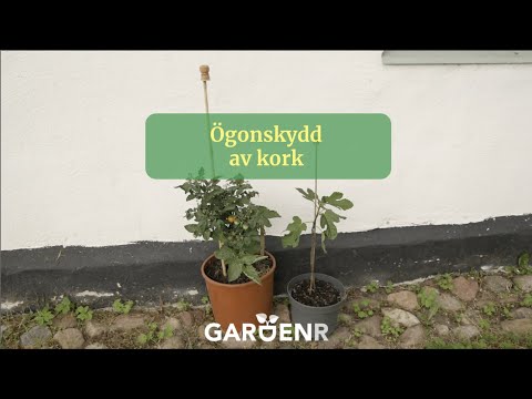 Cork eye protection - Gardenhacks by GardenR