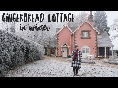 フォードのスマートハウスを使えば、あなたの犬も大晦日にリラックスできるはずです