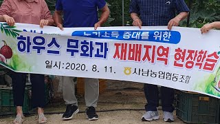 경남사천 무화과재배를 꿈꾸다!