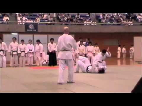 25th Urayasu Aikido Demonstration   Seiryukan Group 1