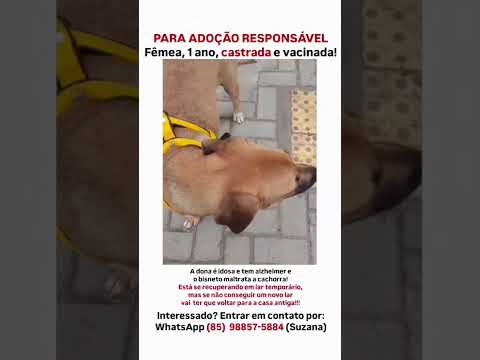 Vídeo de Não tem nome