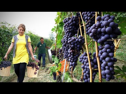 4 Incredible Recipes in Azerbaijan Village | 1 Hour Relaxing Videos
