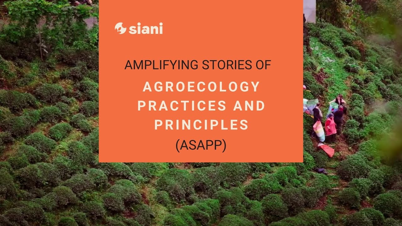 Amplifying Stories of Agroecology Practices and Principles (ASAPP)