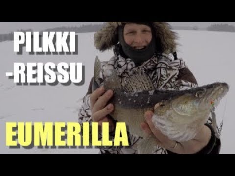 Kuhan pilkintää järvellä  - Jasu - Pystypilkki - Kaikuluotain