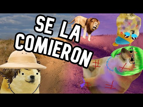 MADRE con DERECHO es COMIDA por LEONES - Hilos con cheems