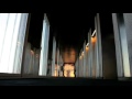 WildRoom Mp4