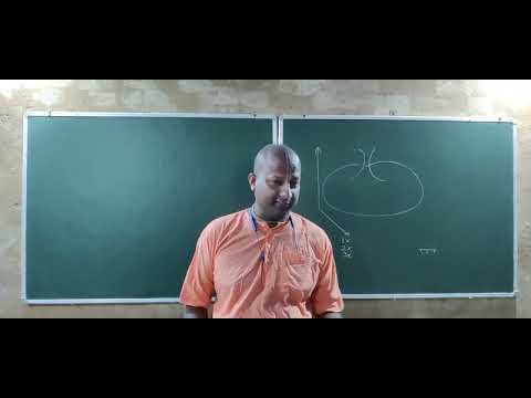 87 | GAT - BHAGAVAD GITA | Chapter - 18, Part - 4 | HG @DasGadadharDas|