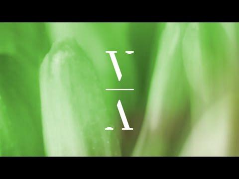 MYRNE - Salve In The Mist