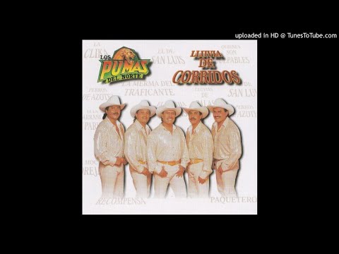 Los Pumas Del Norte - Lluvia De Balas